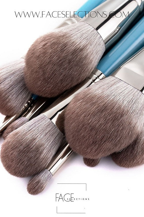 Beautiful Powder Blue Leather Bag 13pcs Brush Set